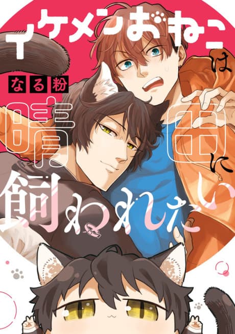 Ikemen Oneko wa Hareda ni Kawaretai
